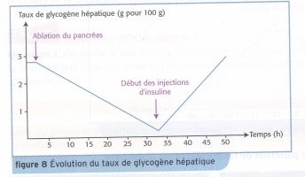 Expérience diabète